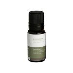 Evergreen Essential Oil